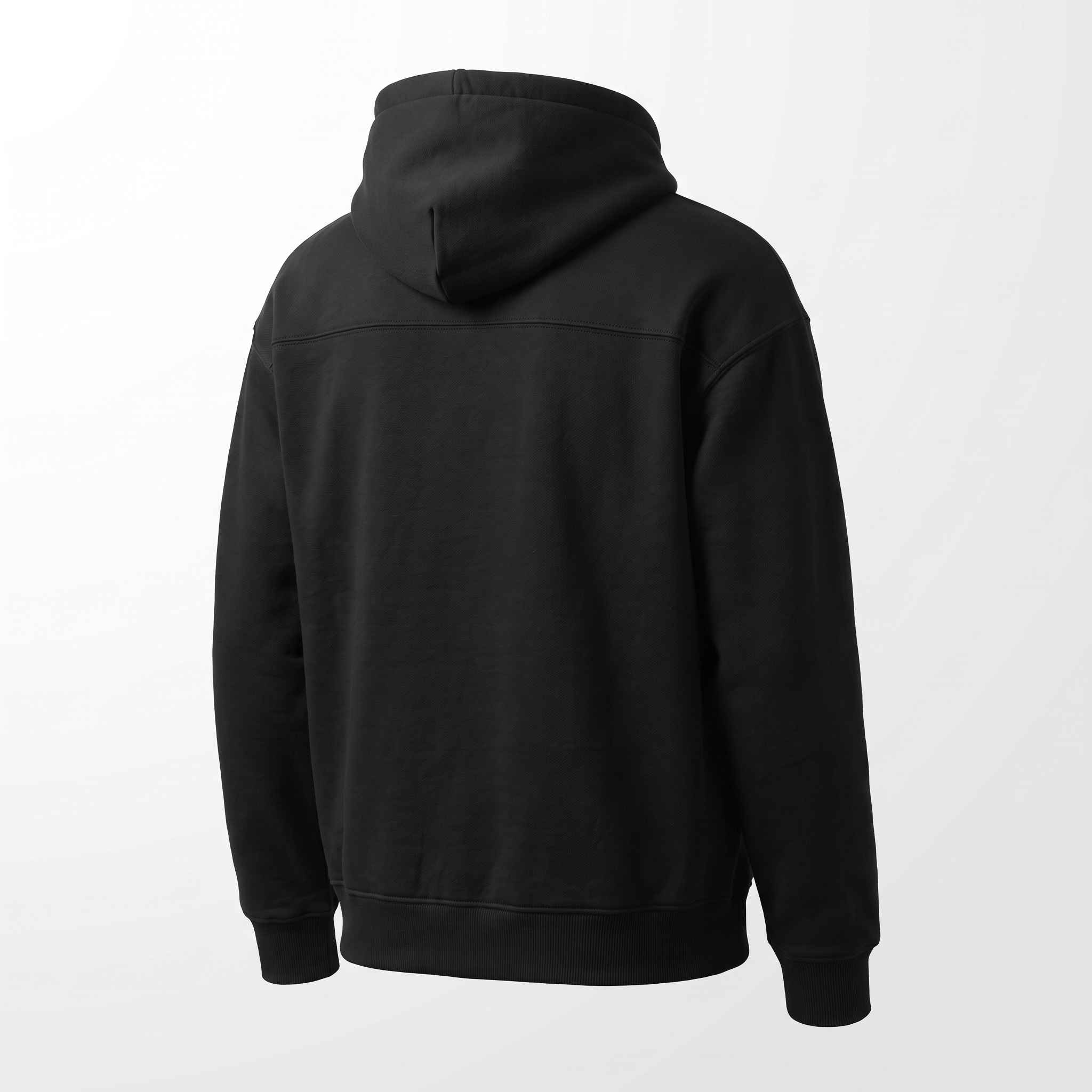 Momentum Heavyweight Hoodie in black, back view